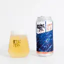 Endure - Dåse 440ml, 4,9%